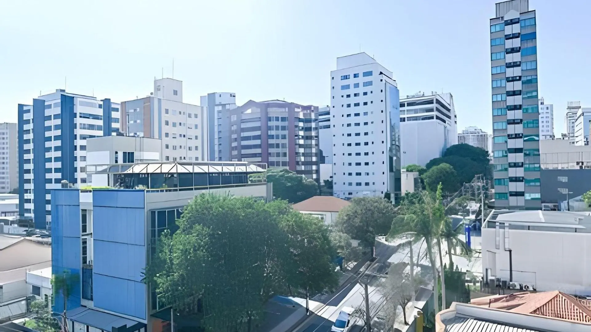 Teu - Loefgreen Sao Paulo